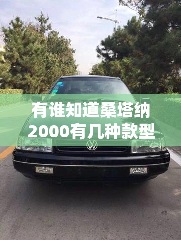 有谁知道桑塔纳2000有几种款型