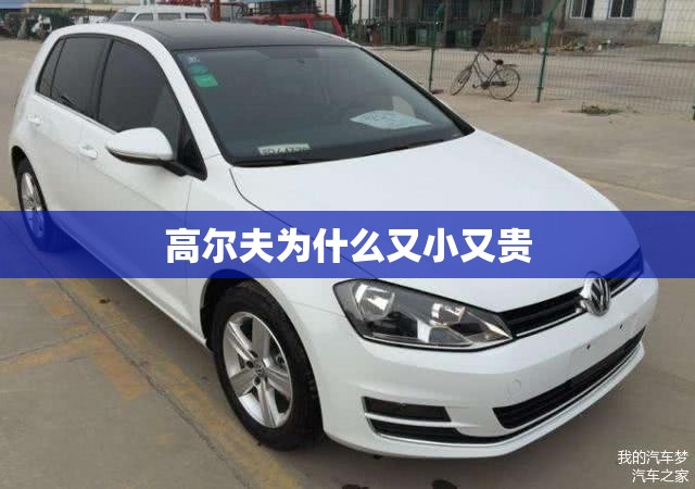 高尔夫为什么又小又贵