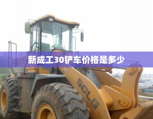 有谁知道桑塔纳2000有几种款型