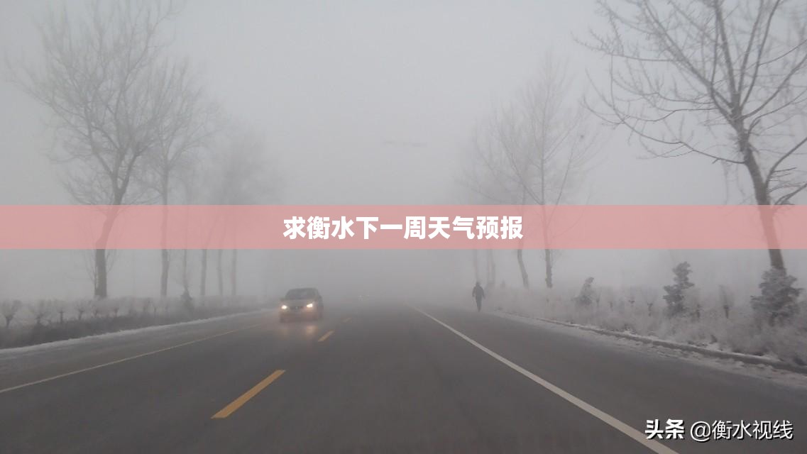 求衡水下一周天气预报