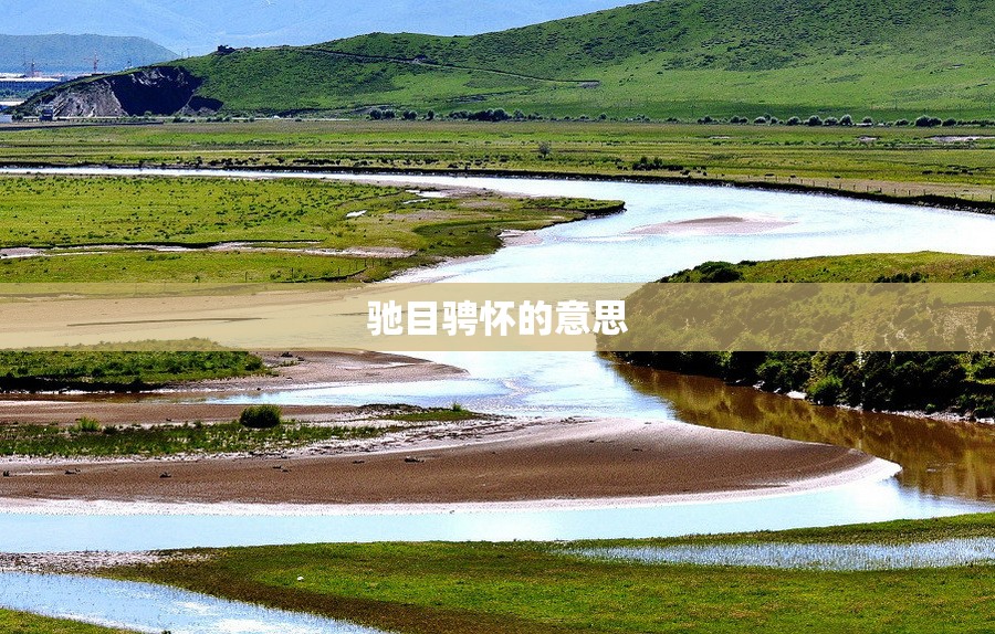 驰目骋怀的意思