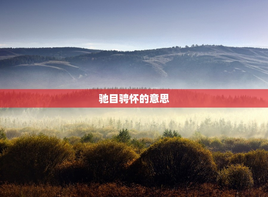 驰目骋怀的意思