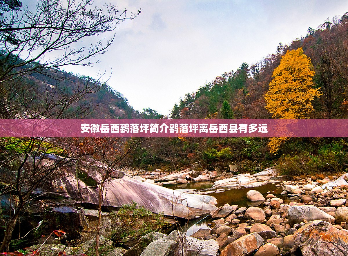 求衡水下一周天气预报