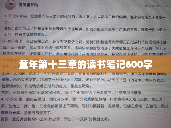 童年第十三章的读书笔记600字