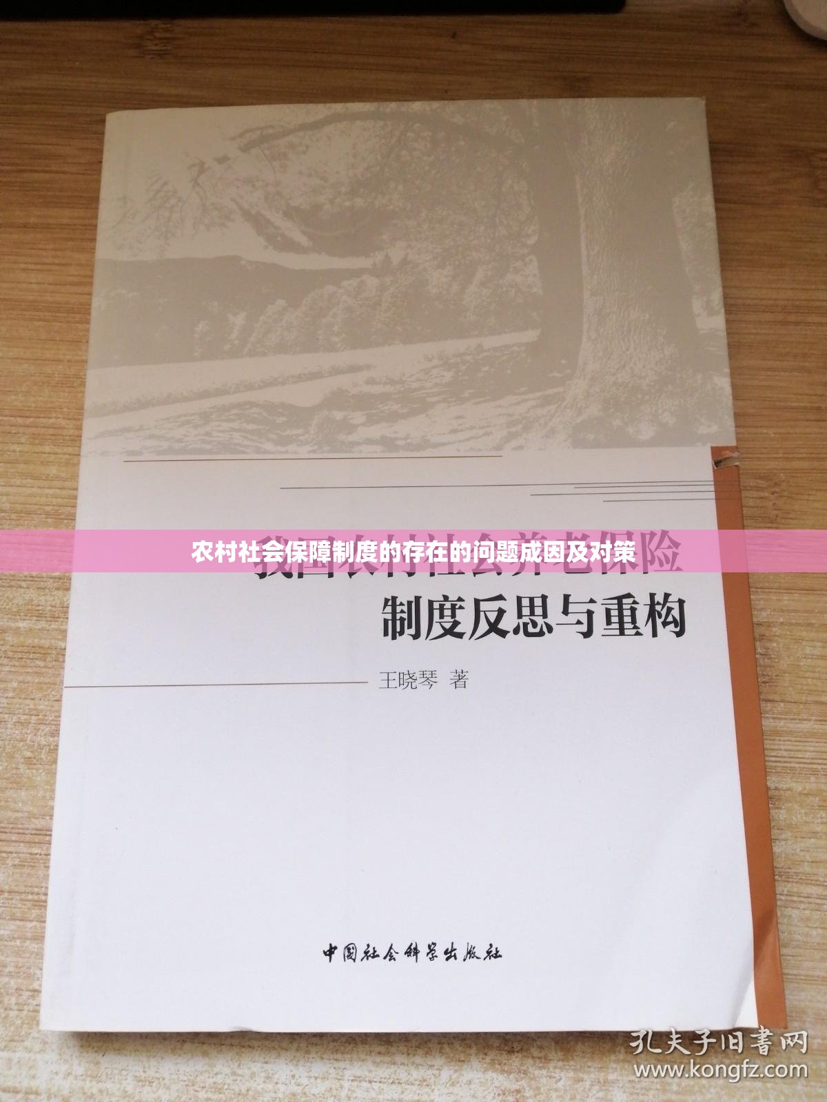 农村社会保障制度的存在的问题成因及对策