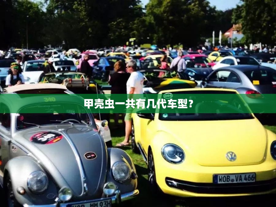 甲壳虫一共有几代车型？