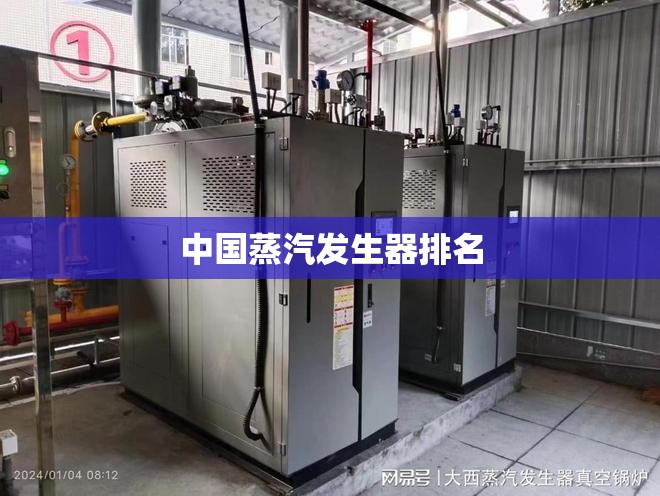 中国蒸汽发生器排名