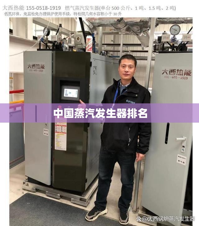中国蒸汽发生器排名