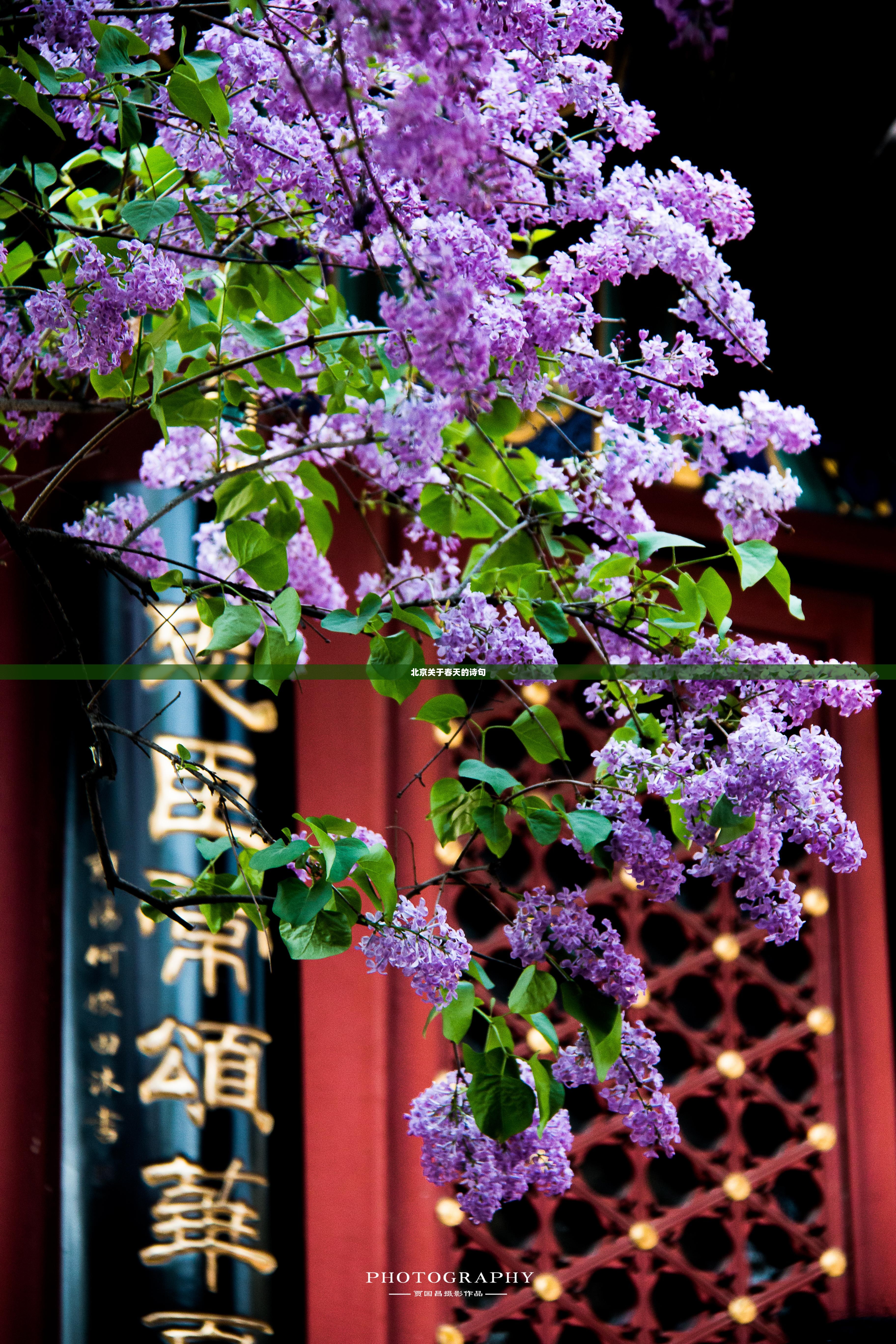 中国蒸汽发生器排名