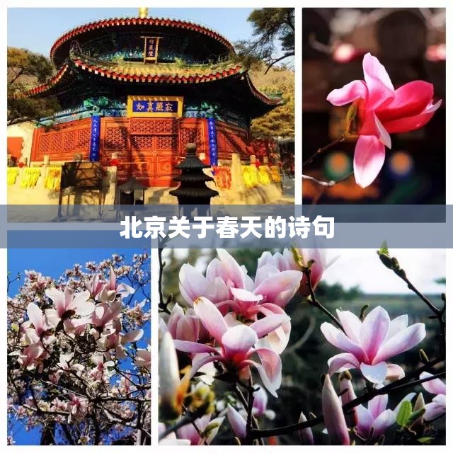 北京关于春天的诗句
