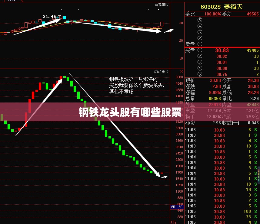 钢铁龙头股有哪些股票