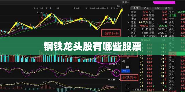 探店体验长城炮越野皮卡：够资格称得上中国版“F150”吗？