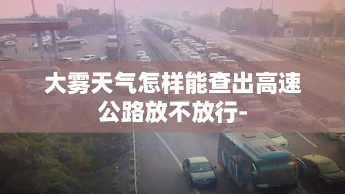 大雾天气怎样能查出高速公路放不放行-