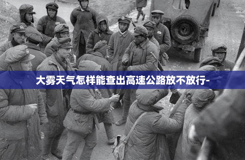 大雾天气怎样能查出高速公路放不放行-