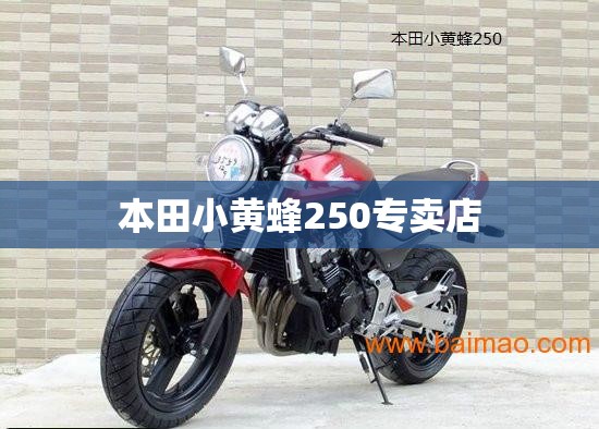 本田小黄蜂250专卖店