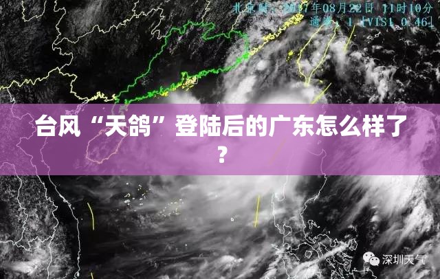 台风“天鸽”登陆后的广东怎么样了？