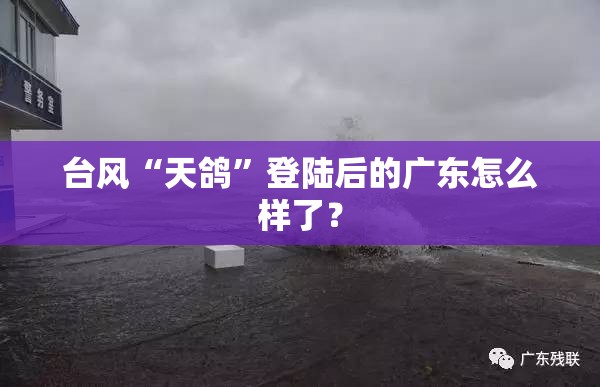 透明塑料袋生产厂家盘点
