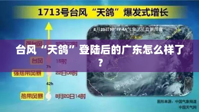 台风“天鸽”登陆后的广东怎么样了？