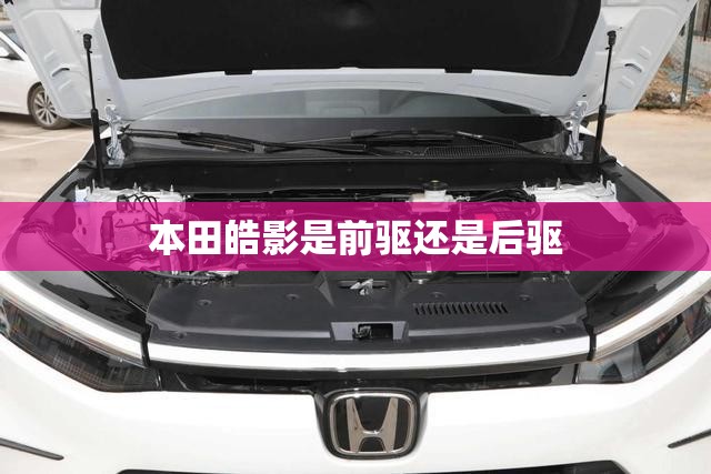 本田皓影是前驱还是后驱