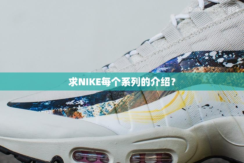 求NIKE每个系列的介绍? 求NIKE每个系列的介绍?