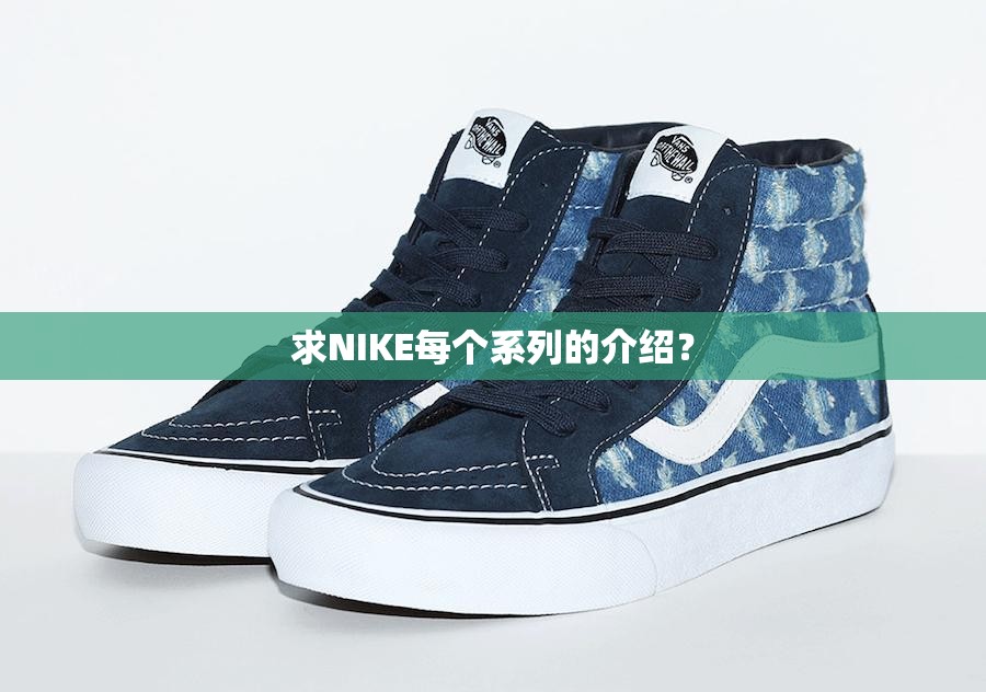 求NIKE每个系列的介绍? 求NIKE每个系列的介绍?