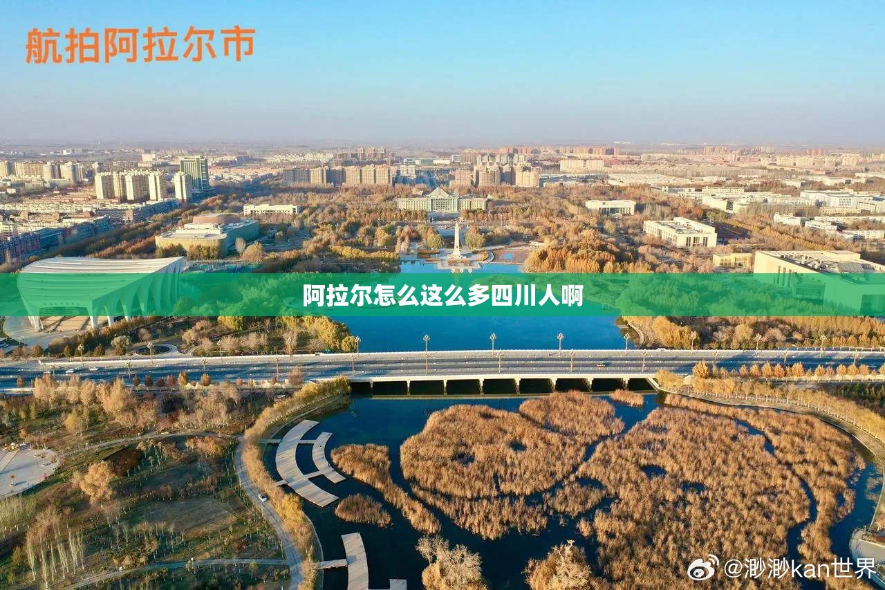 阿拉尔怎么这么多四川人啊