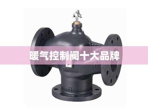 暖气控制阀十大品牌 暖气控制阀十大品牌