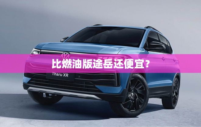 比燃油版途岳还便宜? 比燃油版途岳还便宜?