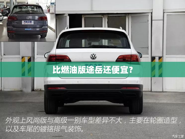 比燃油版途岳还便宜? 比燃油版途岳还便宜?