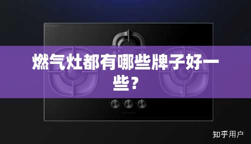 燃气灶都有哪些牌子好一些？