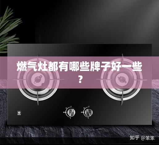 燃气灶都有哪些牌子好一些？