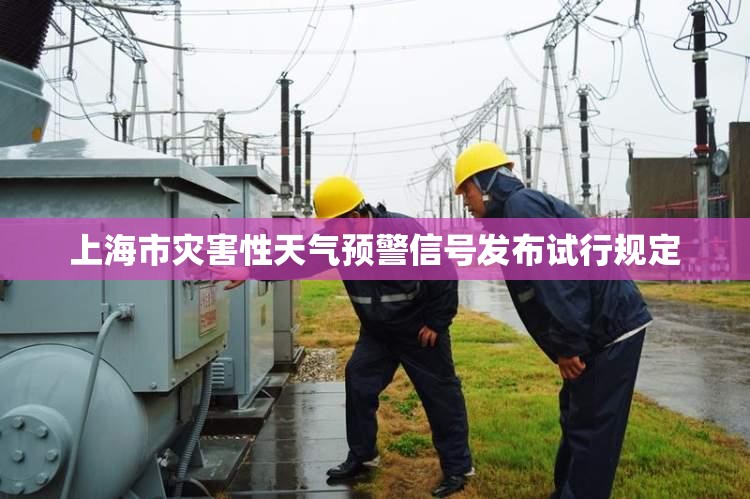 上海市灾害性天气预警信号发布试行规定