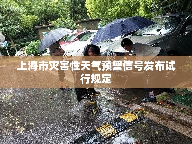 上海市灾害性天气预警信号发布试行规定