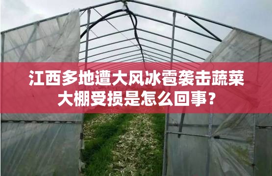 江西多地遭大风冰雹袭击蔬菜大棚受损是怎么回事？