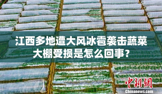 老年人旗袍60-70岁