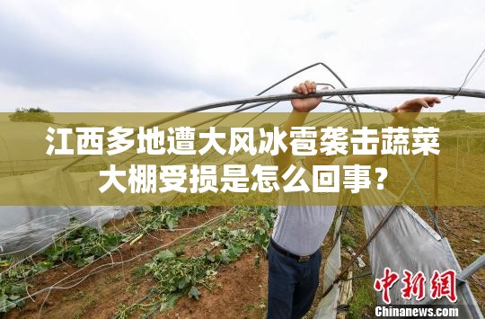 江西多地遭大风冰雹袭击蔬菜大棚受损是怎么回事？