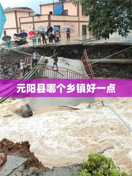 元阳县哪个乡镇好一点