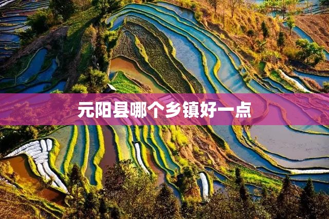 奥迪Q5L自动挡最低多少钱？