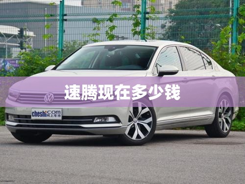 常用的桥梁伸缩缝有哪几种