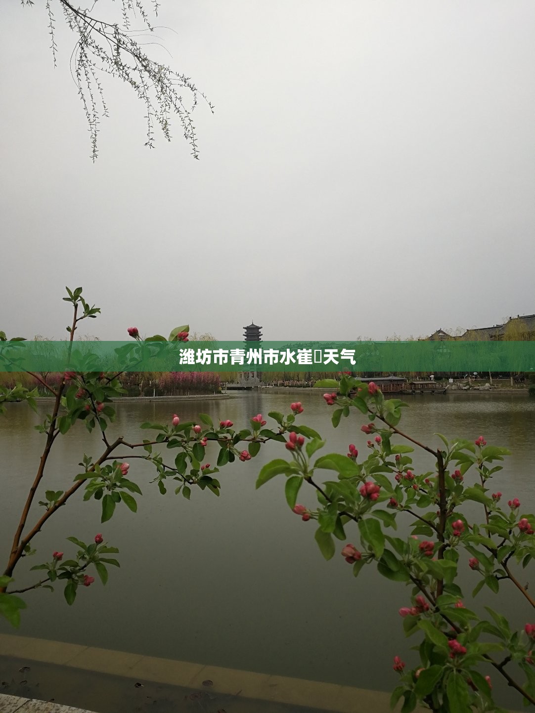 老年人旗袍60-70岁