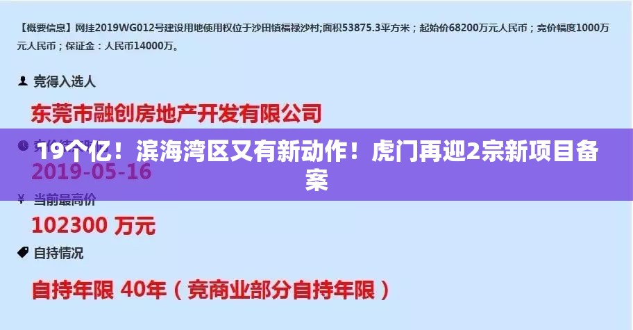 19个亿！滨海湾区又有新动作！虎门再迎2宗新项目备案