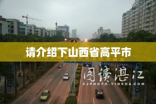 请介绍下山西省高平市