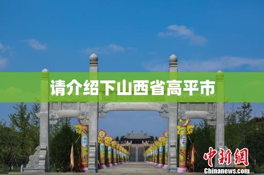 请介绍下山西省高平市
