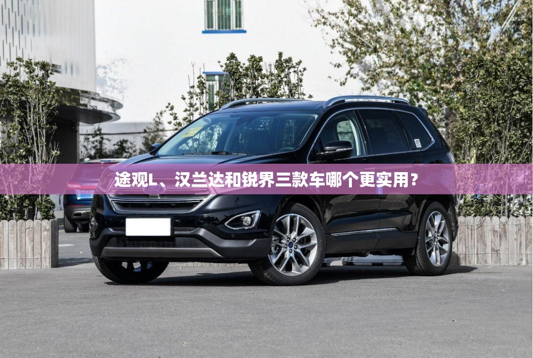 老年人旗袍60-70岁