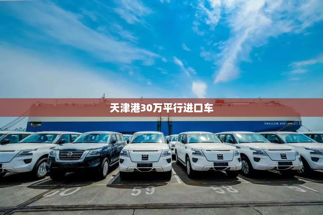 天津港30万平行进口车