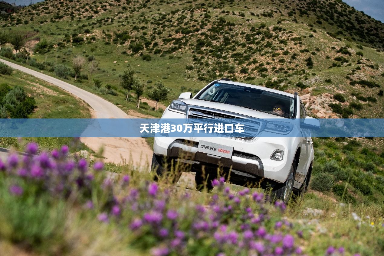 老年人旗袍60-70岁