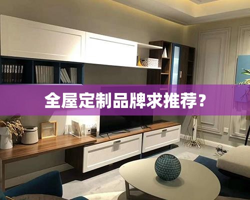 全屋定制品牌求推荐？