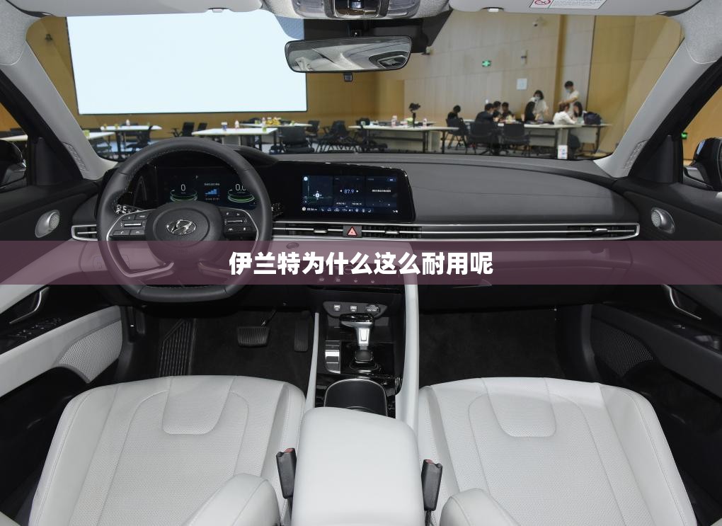 伊兰特为什么这么耐用呢