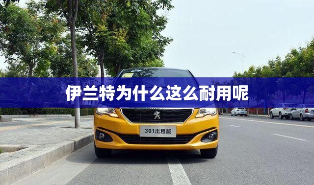 伊兰特为什么这么耐用呢