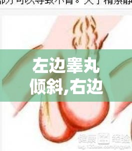 潍坊市青州市水崔厓天气